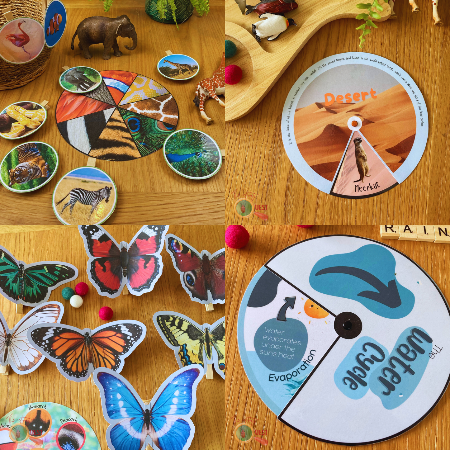 Nature Wheel Activity Printable BUNDLE, Animal Pattern Disc, Butterfly Recognition, Water Cycle and Animal Habitats/Biomes, INSTANT DOWNLOAD PDF