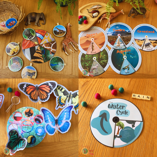 Nature Wheel Activity Printable BUNDLE, Animal Pattern Disc, Butterfly Recognition, Water Cycle and Animal Habitats/Biomes, INSTANT DOWNLOAD PDF