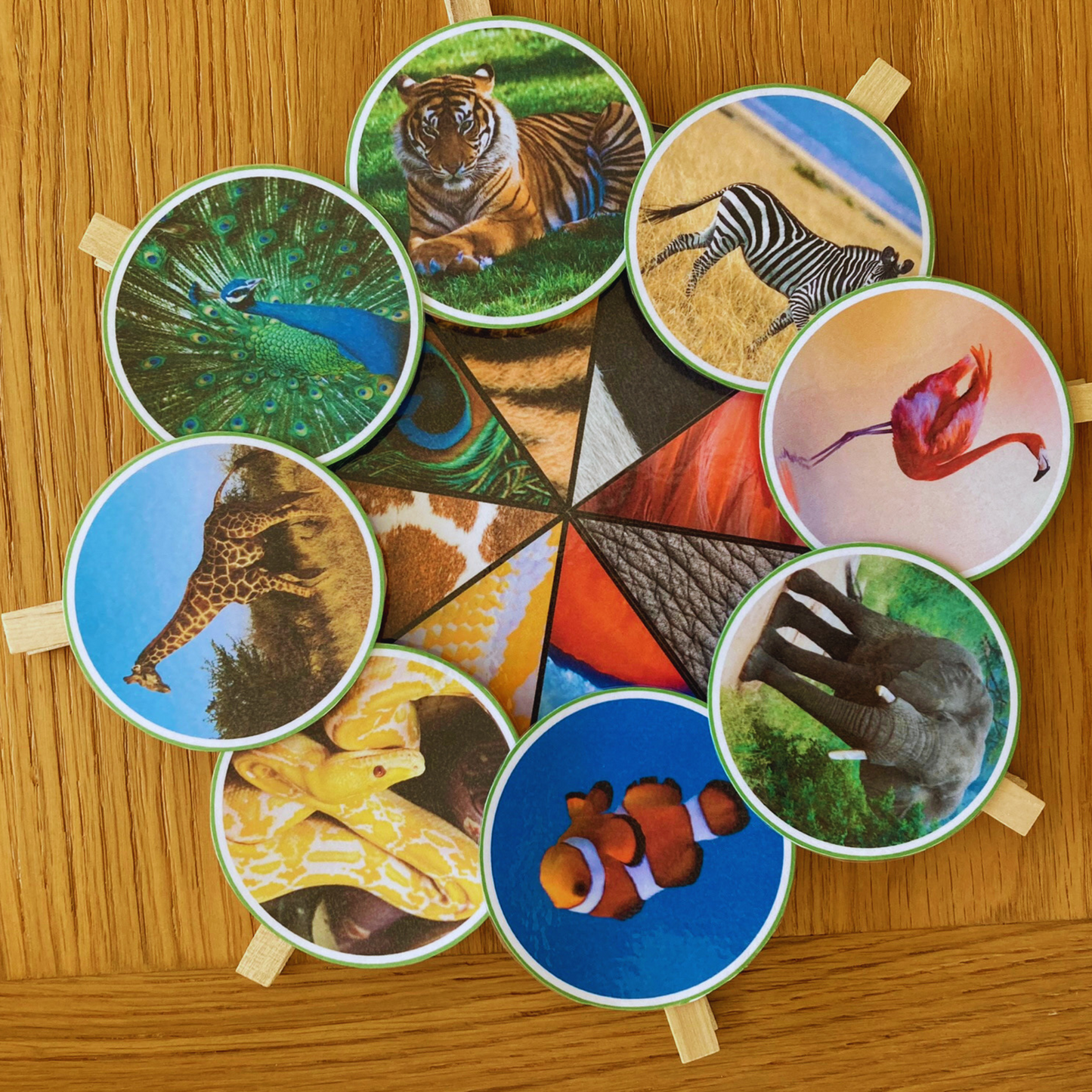 Nature Wheel Activity Printable BUNDLE, Animal Pattern Disc, Butterfly Recognition, Water Cycle and Animal Habitats/Biomes, INSTANT DOWNLOAD PDF