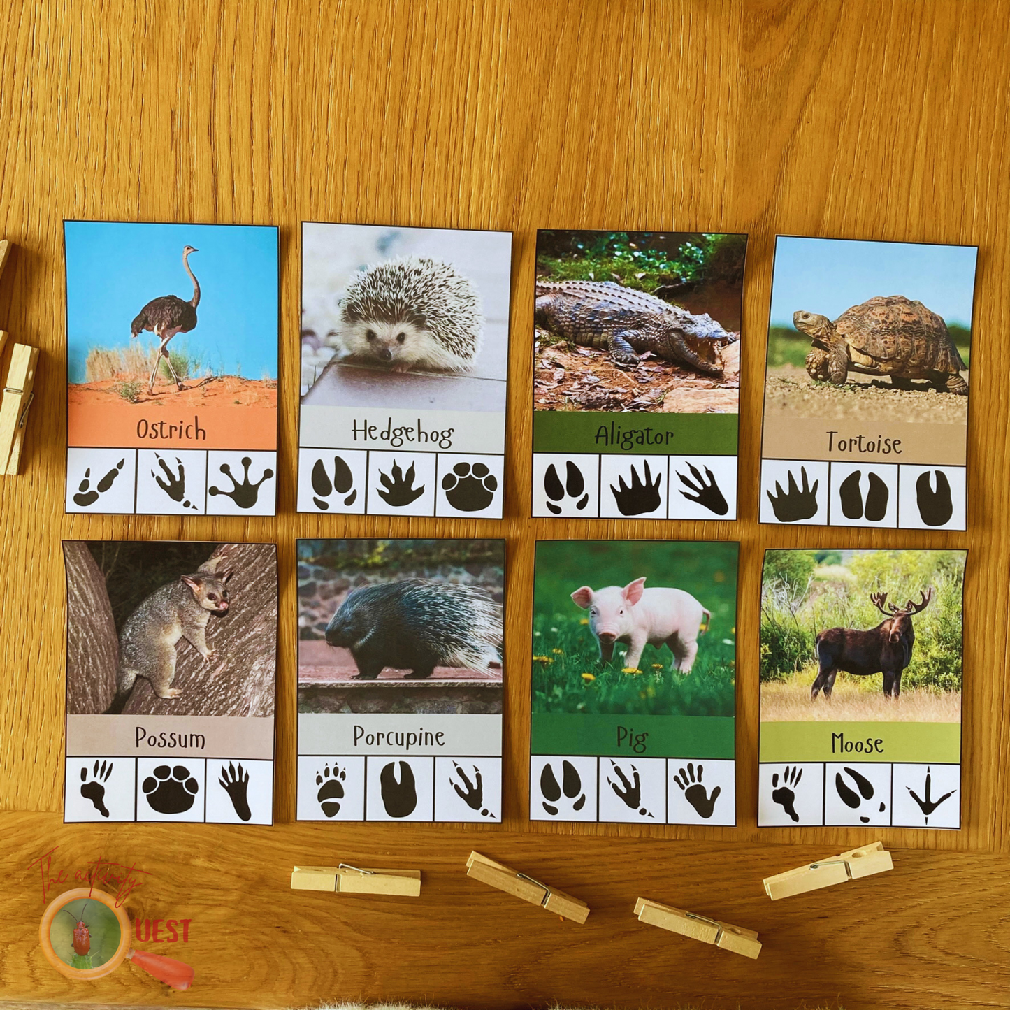 20 Animal Footprints Clip Cards Printable Kids, Nature Tracks Identification Flashcards, INSTANT DOWNLOAD