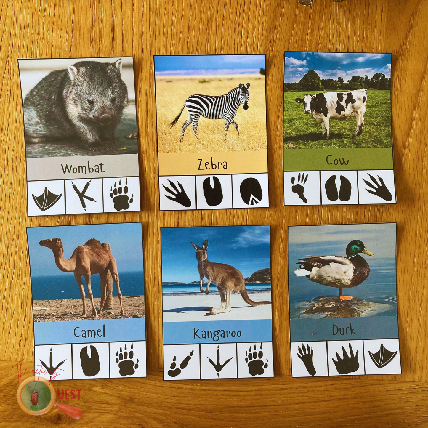 20 Animal Footprints Clip Cards Printable Kids, Nature Tracks Identification Flashcards, INSTANT DOWNLOAD