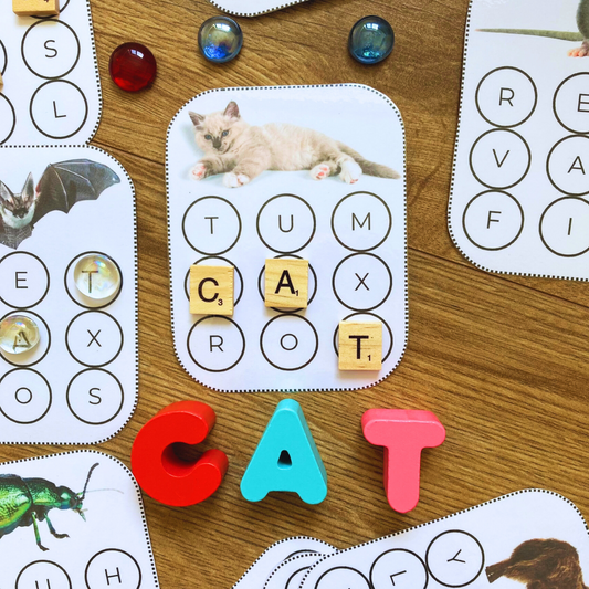 10 CVC Animal Words Cards, INSTANT DOWNLOAD pdf