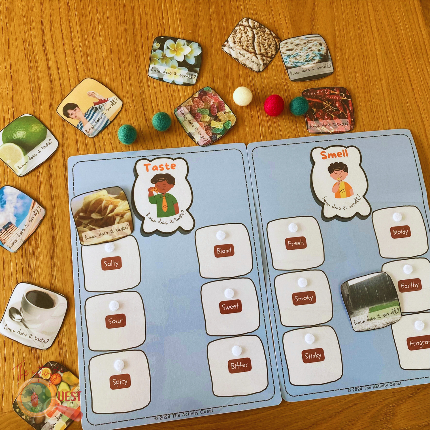 5 Senses Sorting Printable Activity, INSTANT DOWNLOAD PDF