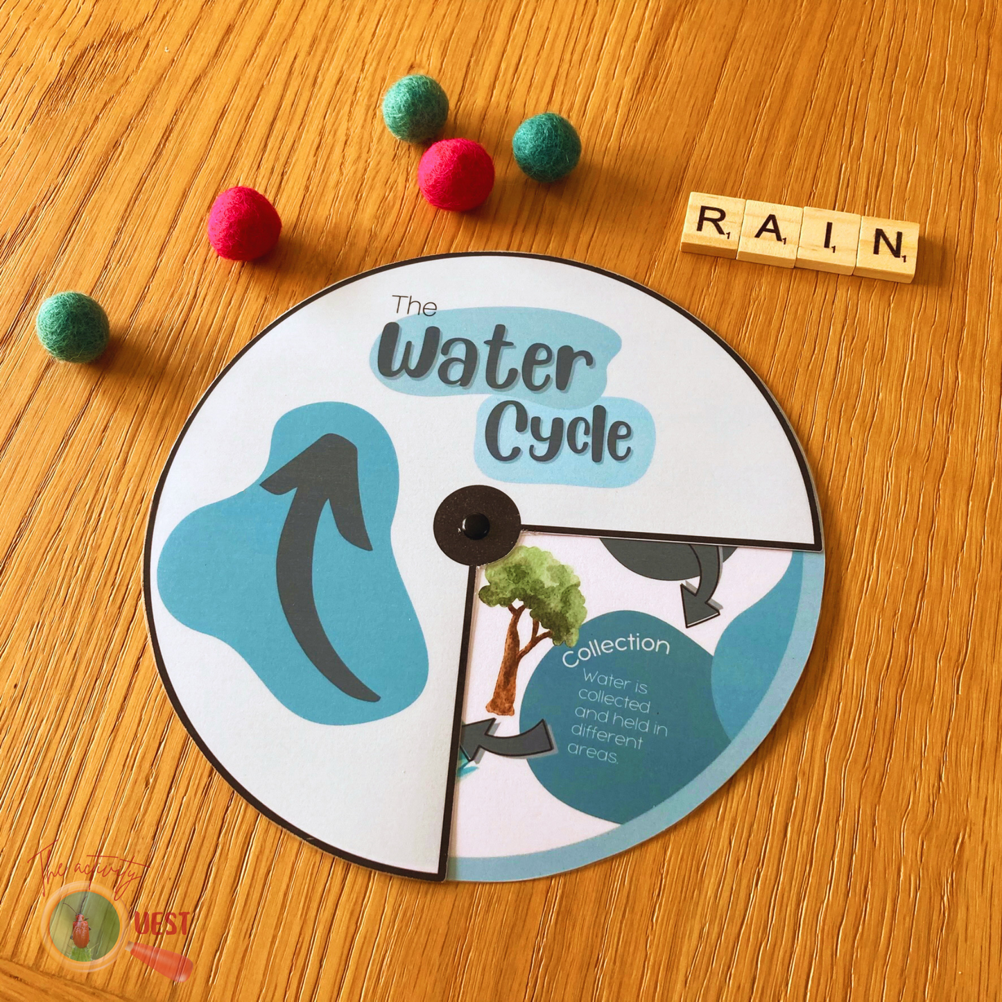 Water Cycle Wheel Printable, Nature Study Kids Activity Disc, Kindergarten Science Game,  Elementary Science Materials, INSTANT DOWNLOAD PDF