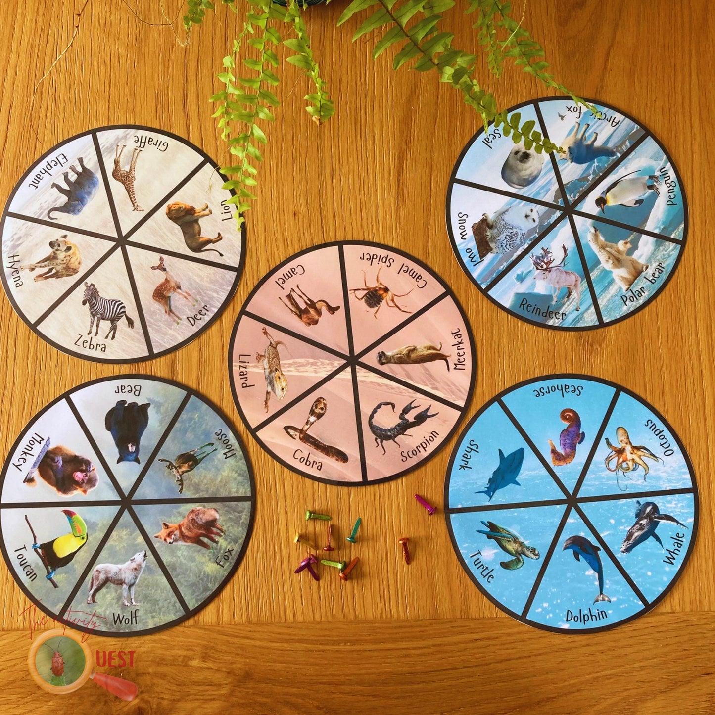 Nature Wheel Activity Printable BUNDLE, Animal Pattern Disc, Butterfly Recognition, Water Cycle and Animal Habitats/Biomes, INSTANT DOWNLOAD PDF