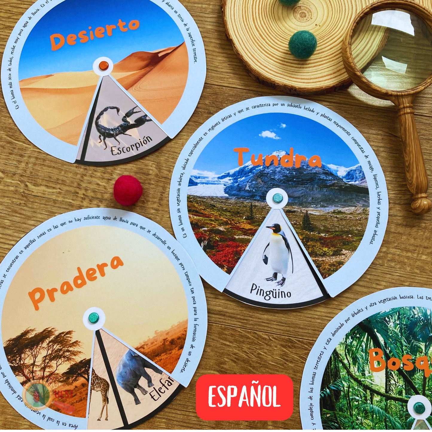 Spanish Animal Habitats Learning Wheels Printable, Nature Biomes Animals Disc Activity, INSTANT DOWNLOAD PDF