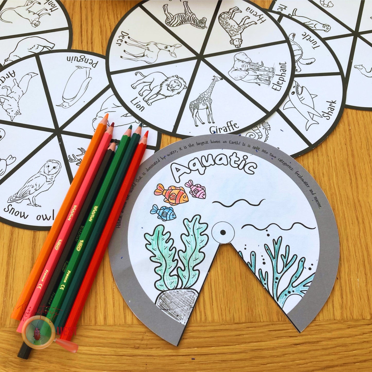 Coloring Animal Habitats Wheels Printable, Learning Nature Biomes Animals Disc Activity, INSTANT DOWNLOAD PDF