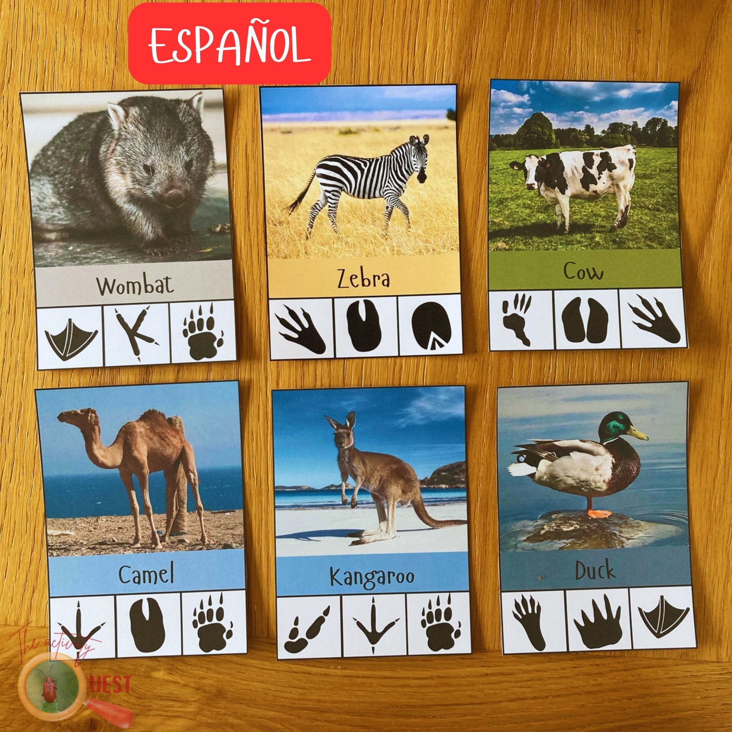 20 Animal Footprints Clip Cards Spanish Printable, Nature Tracks Identification Flashcards, INSTANT DOWNLOAD PDF