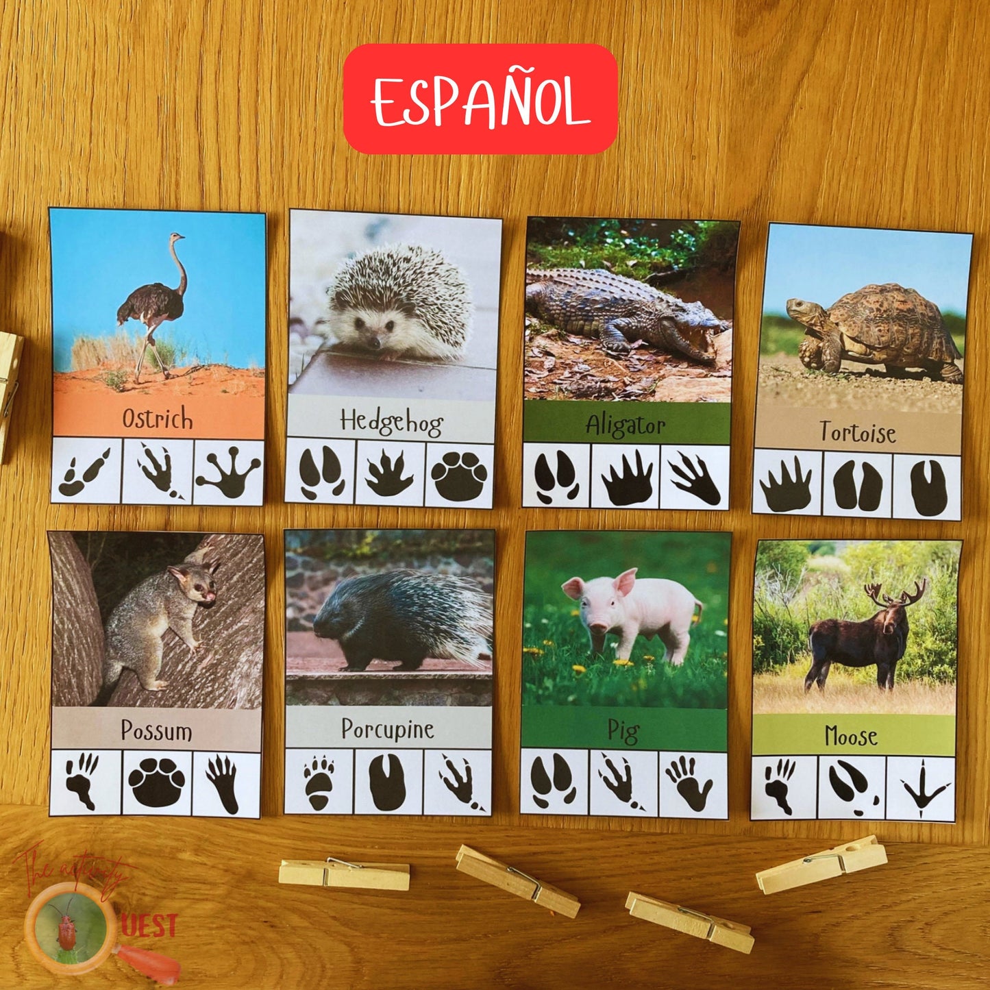 20 Animal Footprints Clip Cards Spanish Printable, Nature Tracks Identification Flashcards, INSTANT DOWNLOAD PDF