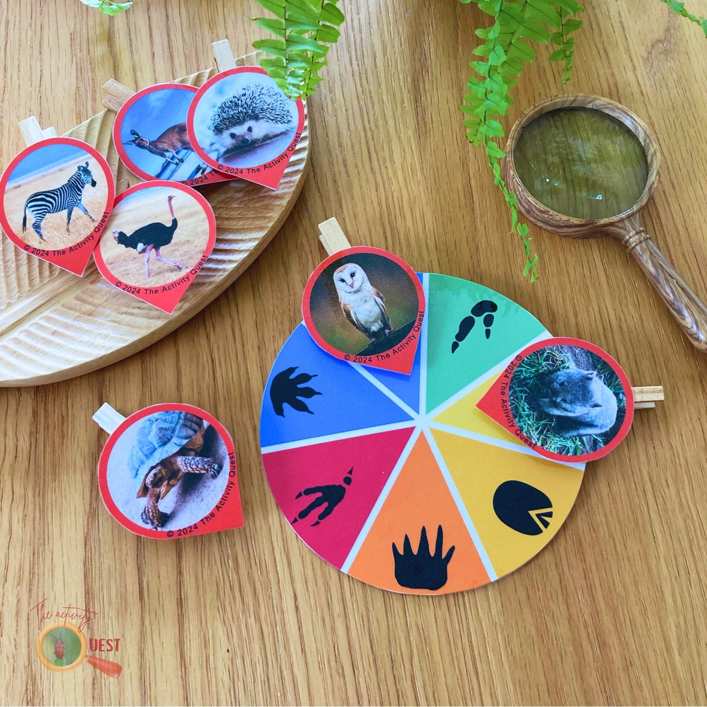 7 Animal Footprints Wheel and Clip Printable Pictures for Kids, Nature Tracks Identification, INSTANT DOWNLOAD PDF