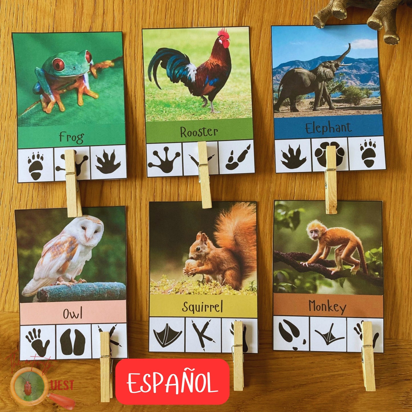 20 Animal Footprints Clip Cards Spanish Printable, Nature Tracks Identification Flashcards, INSTANT DOWNLOAD PDF