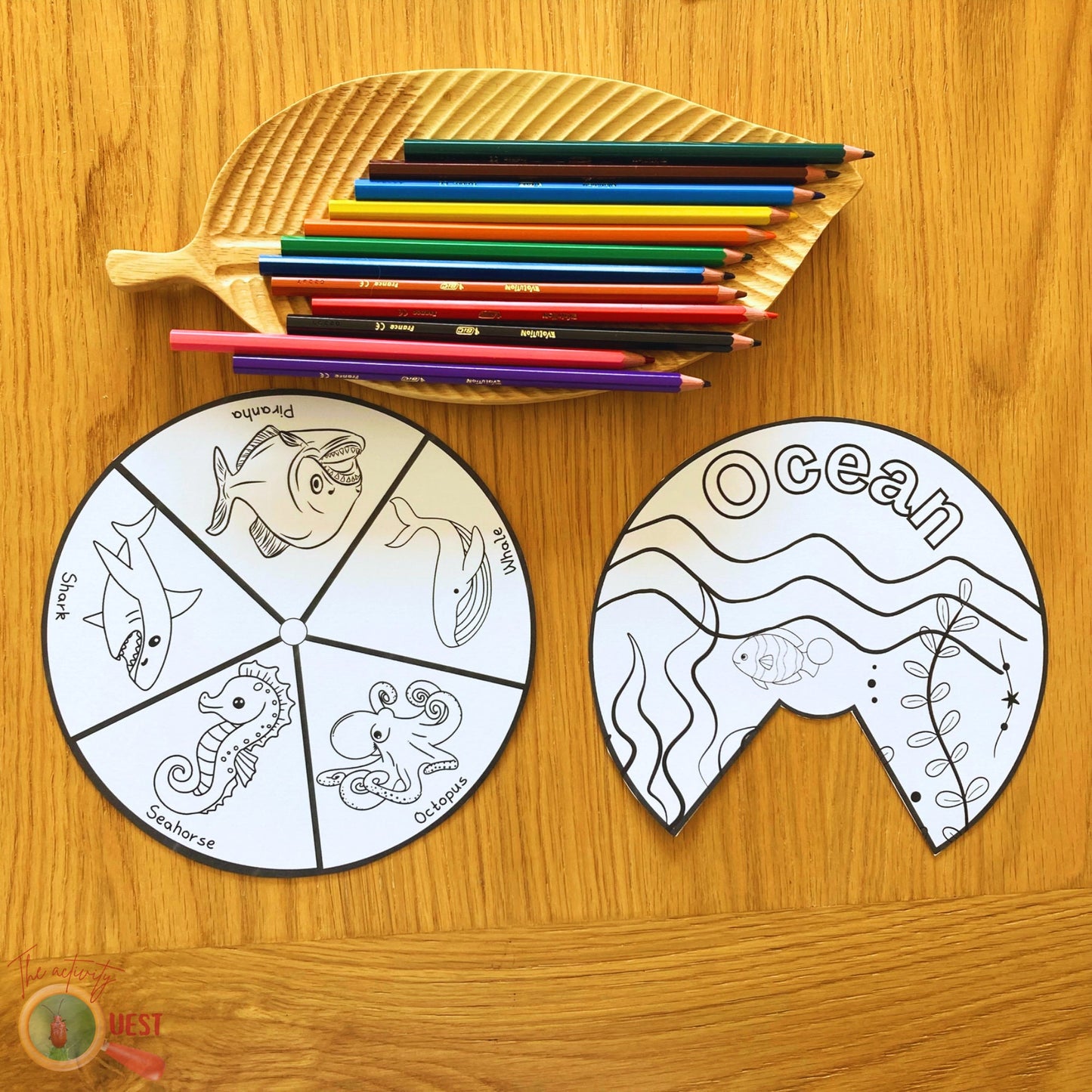 9 Animal Biomes Coloring Wheels Printable for Kids, Creatures Habitats Discs to Color for Children, INSTANT DOWNLOAD PDF